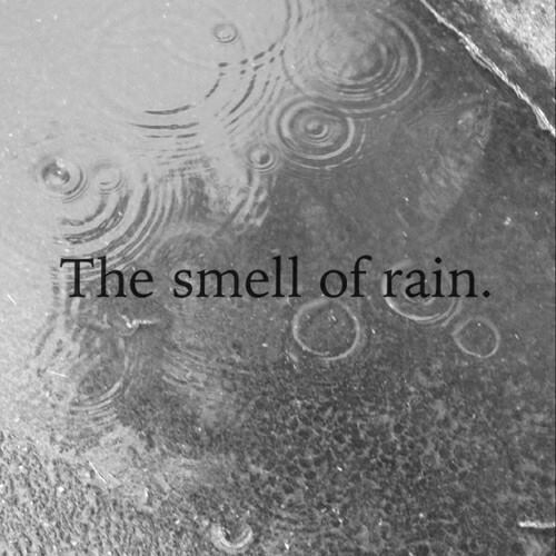 El olor a lluvia El Blog de Mer